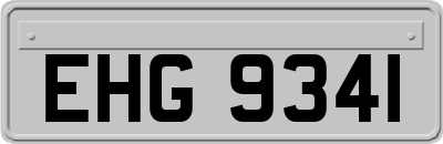 EHG9341