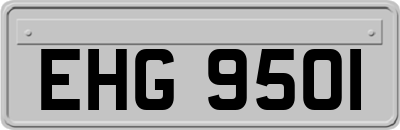 EHG9501