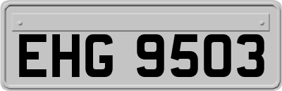 EHG9503