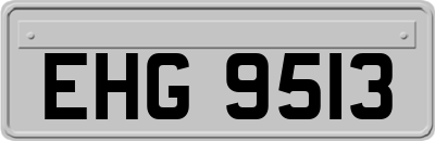 EHG9513