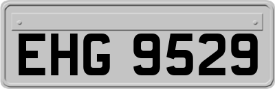EHG9529