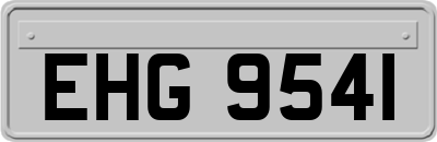 EHG9541