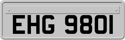 EHG9801
