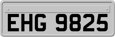 EHG9825