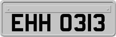 EHH0313