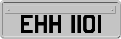 EHH1101