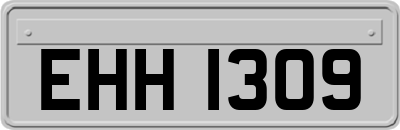 EHH1309