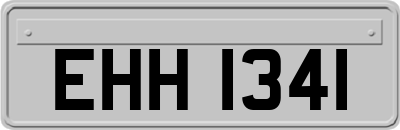 EHH1341