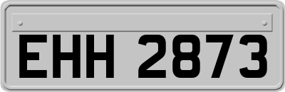 EHH2873