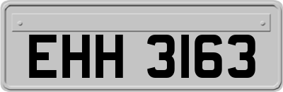 EHH3163