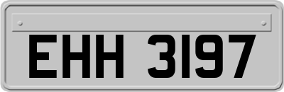 EHH3197
