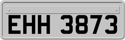 EHH3873