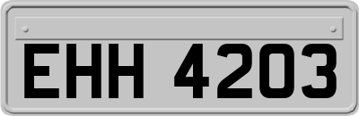 EHH4203