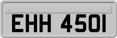 EHH4501