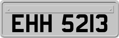 EHH5213