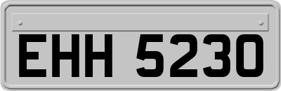 EHH5230
