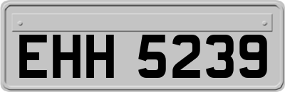 EHH5239