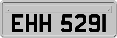 EHH5291