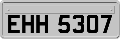 EHH5307