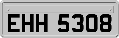 EHH5308