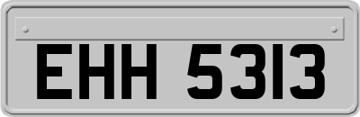 EHH5313