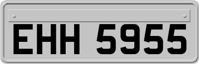 EHH5955