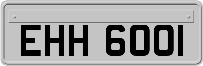 EHH6001