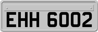 EHH6002