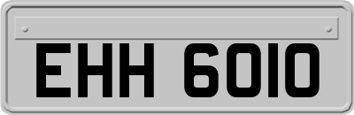 EHH6010