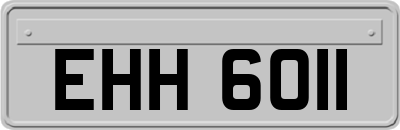 EHH6011
