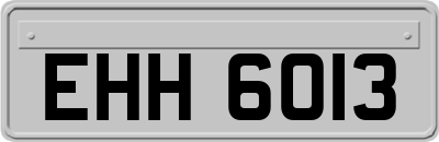 EHH6013