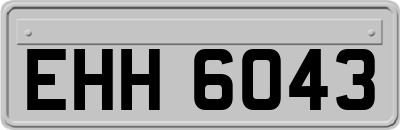 EHH6043