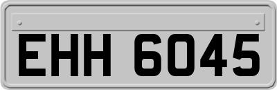 EHH6045