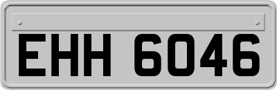 EHH6046