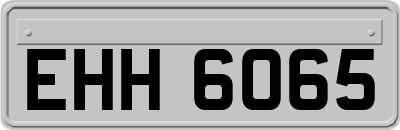 EHH6065