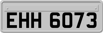 EHH6073