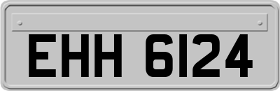EHH6124