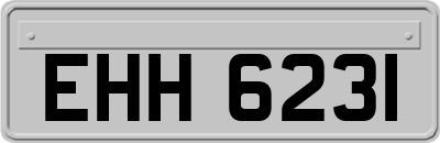 EHH6231