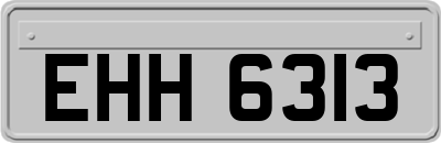 EHH6313