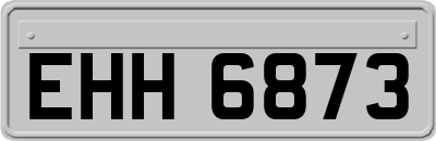 EHH6873