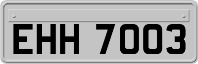 EHH7003
