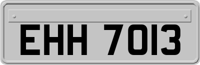 EHH7013