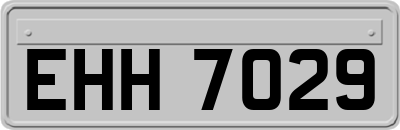EHH7029