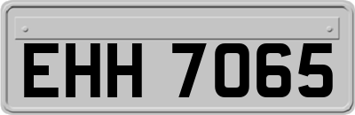 EHH7065