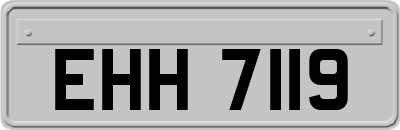 EHH7119
