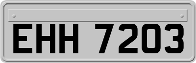 EHH7203