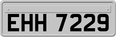 EHH7229