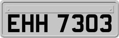 EHH7303