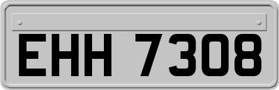 EHH7308