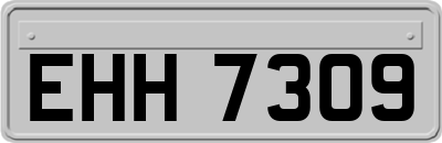 EHH7309